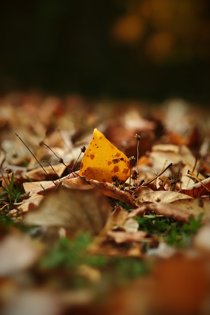 现在第四节 现在第四节