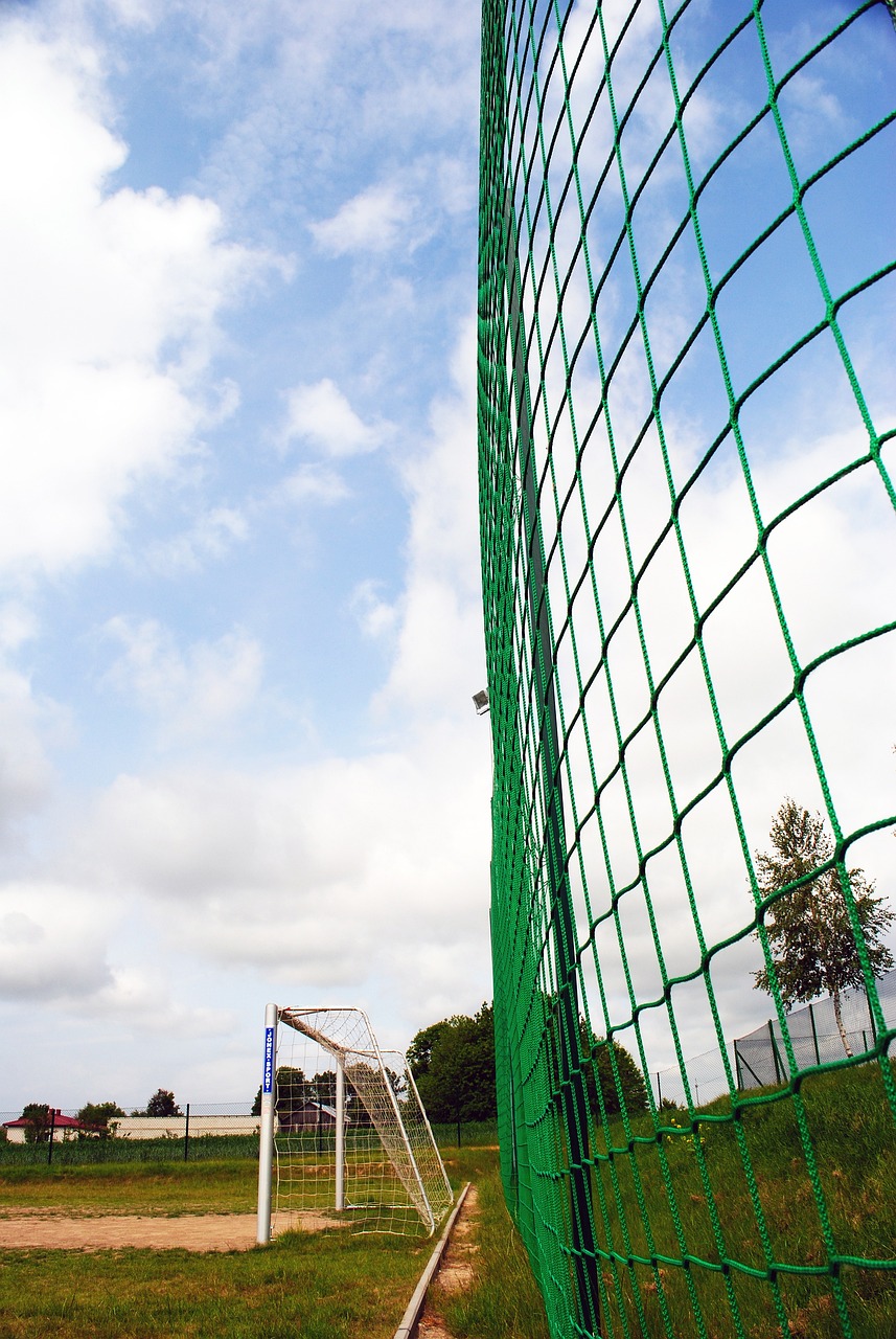 星桑切斯从 星桑切斯从