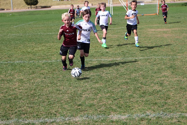 重的脑震荡 重的脑震荡